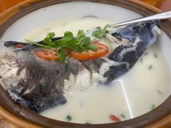 -全乐鱼馆·淳牌有机鱼直营店