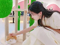 -喵园·猫主题咖啡厅·撸猫·猫咖(国贸店)