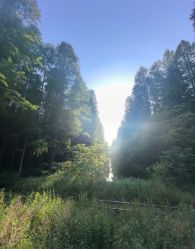 -ISHOW爱秀爵士舞蹈