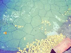 -青城道汤池