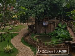 -泉州海丝野生动物世界