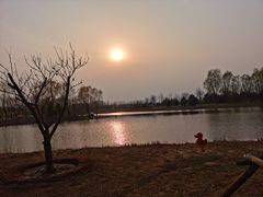 -东郊湿地公园