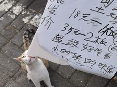 -大光明丽星VIP影城(昌里路杜比全景声店)
