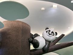 -眉州东坡·熊猫主题餐厅(枫蓝店)