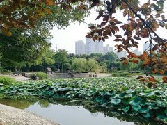 -昆山城市公园