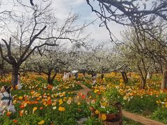 -名花谷生态庄园