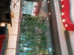 -本家韩国烤肉(财富大厦店)