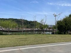 -飞凤山奥体公园