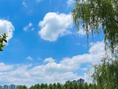 -洋湖国家湿地公园