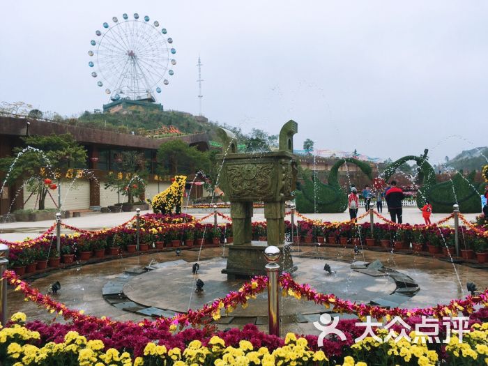 花海欢乐世界-游乐设施图片-恩平市周边游-大众点评网