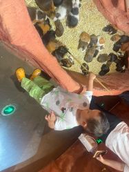 -Zoolung Zoolung动物主题公园(海信广场店)