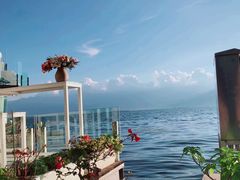 -双廊杨记石锅鱼石锅牛肉