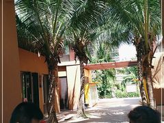 -亚马逊丛林水乐园