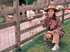 -前小桔亲子创意农场·草莓采摘·露营烧烤