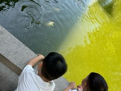 -嘉定博物馆