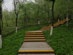 -长春世界雕塑园冰雪艺术天地