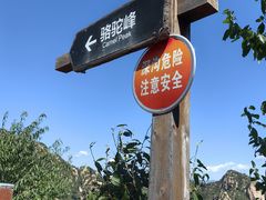 -大岭沟猕猴桃谷风景区