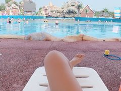 -沈阳龙润夏宫温泉水乐园