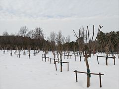 -沙澧河风景区