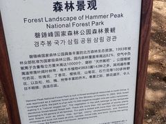 -磬锤峰森林公园