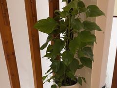 -麦子MaiMassage(打浦桥店)