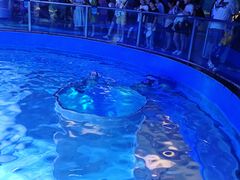 -上海海昌海洋公园-冰山北极馆