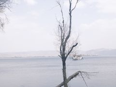 -大理洱海