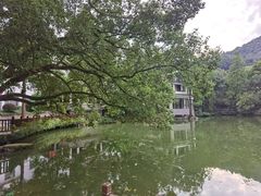 -杭州花家山庄