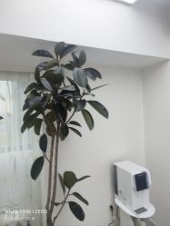 -HEYAN荷妍专业脱毛连锁机构
