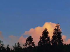 -武陵山森林公园