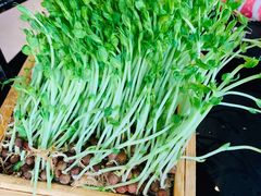 -凤园椰珍·臻品椰子鸡(保利时光里店)