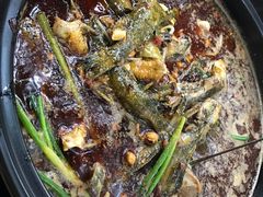 -金海椒罐罐鲢鱼(东方桂苑店)