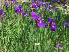 -苏州河梦清园环保主题公园