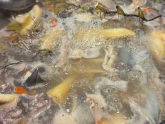 -花苑美食横琴生蚝火锅(拱北粤华路店)