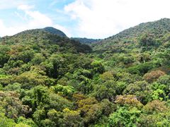 -海南热带雨林国家公园吊罗山景区