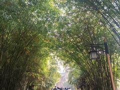 -黄鹤楼