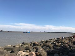 -吴淞炮台湾湿地森林公园烧烤区