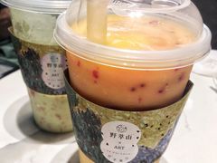 -野萃山·潮汕厚果汁(十亩地店)