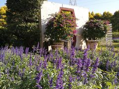 -广东花都香草世界旅游度假区