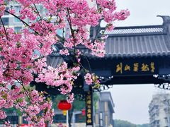 -莫愁湖公园