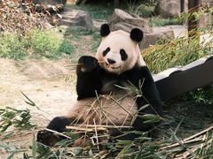 -杭州野生动物世界