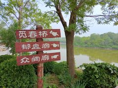 -塘沽森林公园