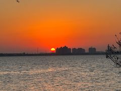 -阳澄湖半岛旅游度假区