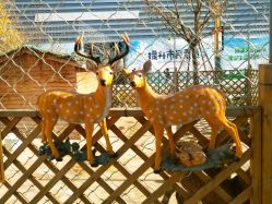 -萌宠亲子动物乐园(槐房万达店)