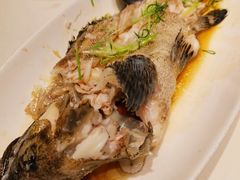 清蒸老虎斑-悦景酒家(罗湖店)