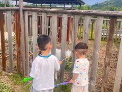 -薰衣草NE庄园