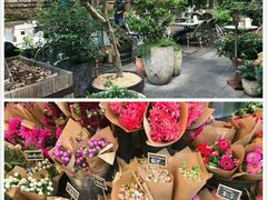 -The Grounds of Alexandria