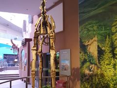 -陕西自然博物馆