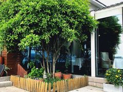 -望海·帆船主题咖啡厅•品茗下午茶(石湖景区店)