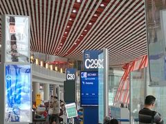 -谢列梅捷沃国际机场